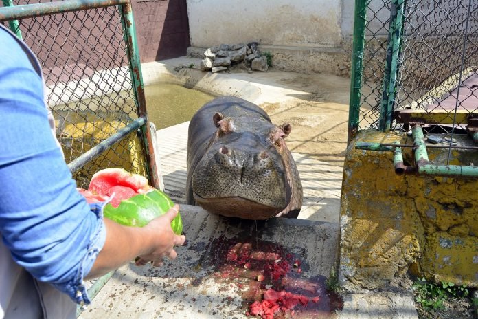 Zoológico Tulancingo