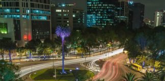 Mejoran áreas verdes en Glorieta de la Palma, de CDMX Glorieta de la Palma