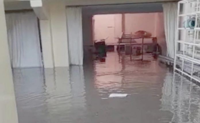 IMSS Muertos Tula