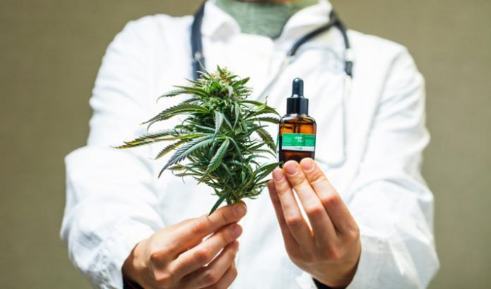 Cannabis México