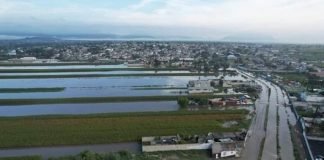Censarán cultivos afectados por inundación de Tula inundación Tula
