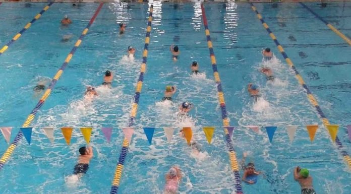 Reinicia actividades Copa Hidalgo de Natación