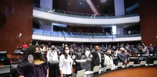 Avalan Parlamento de Personas con Discapacidad