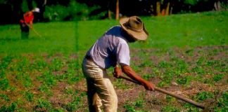 Hidalgo, sin sequía: CONAGUA