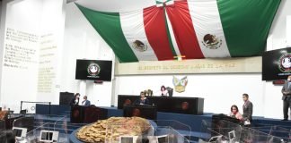 Demandan considerar la movilidad como un derecho humano