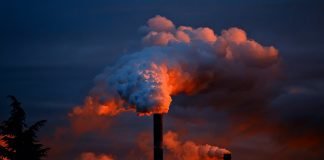 CEMDA hace fuerte llamado al Gobierno de México