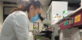 IPN estudia bacterias con actividad biológica para degradar insecticidas en suelos