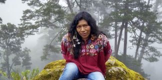 Exigen localizar a la activista oaxaqueña Irma Galindo Barrios. Temen por su vida