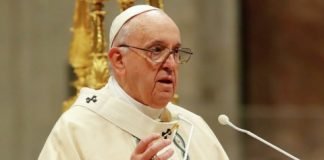 Proteger el medio ambiente es una tarea emocionante, pero al mismo tiempo desafiante Papa Francisco