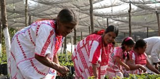 Secretaría del Bienestar
