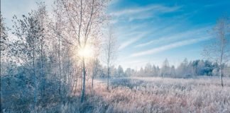 ¡Abríguese bien! frente frío 14 trae un lunes de niebla y lluvias