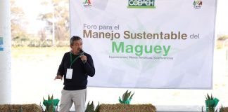 El Cobaeh participa en agenda de necesidades de la producción del maguey MAGUEY