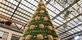 Por bots, se agotan productos rápidamente en tiendas en línea durante Navidad NEGOCIOS