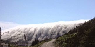 Se prevén Heladas y bancos de niebla durante la mañana