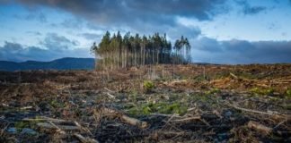 Exceder el límite de aumento de temperatura, Acuerdo de París, una apuesta riesgosa MEDIO AMBIENTE