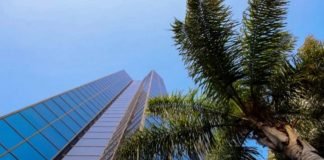 ¿Por qué el 2021 terminó con desaceleración de la inflación en México? ECONOMÍA