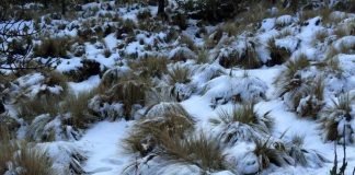 Presencia de aguanieve o nieve en sierras de Chihuahua y Durango