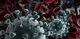 Repunte de contagios por COVID-19