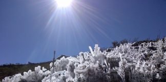 Por la mañana continúan bajas temperaturas y heladas en varios estados