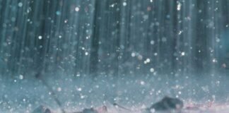 Lluvias puntuales muy fuertes para Chiapas, Oaxaca, Tabasco y Veracruz