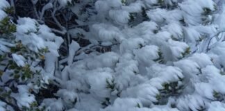 Despiertan con paisajes invernales en Actopan, Acaxochitlán, Zacualtipán y Zimapán