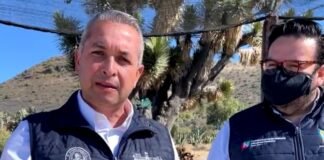 Se han reciclado 222 árboles de Navidad en Pachuca HIDALGO