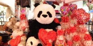 Comerciantes en Tulancingo sin repuntar sus ventas en celebración del Día del Amor SAN VALENTÍN