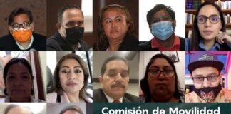 Aprueban Parlamento Abierto en materia de Ley General de Movilidad y Seguridad Vial Cámara de diputados