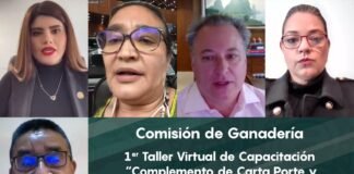 Capacitación sobre Complemento de Carta Porte y Régimen Simplificado de Confianza COMISIÓN DE GANADERÍA