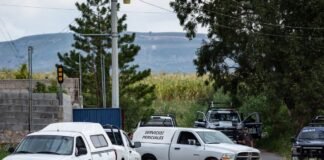 Persiste violencia en Zacatecas. Hallan 17 cuerpos en tres municipios