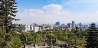 Hay ganador del proyecto Jardín Escénico del Bosque de Chapultepec