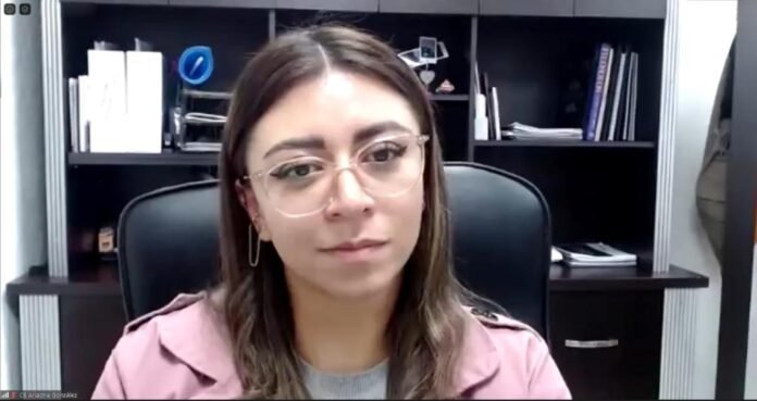 consejera presidena temporal IEEH