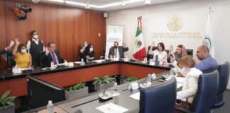 Delfina Gómez titular de la SEP es citada por Comisión de Educación, en el Senado