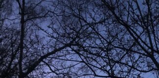 Un nuevo frente frío, se desplazará sobre el noroeste del país