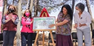 Hay billete de lotería conmemorativo al Día Internacional de la Mujer