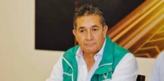 El Partido Verde enfrentará comicios de gobernador de manera independiente