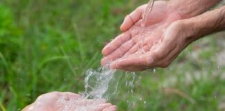 Uso responsable del agua garantizará abasto y acceso al vital líquido: Coca-Cola