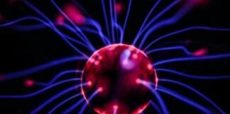 Neuronas impulsan la actitud competitiva y ecología social