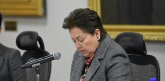 Sostiene diputada local del PVEM su permanencia y militancia en ese partido