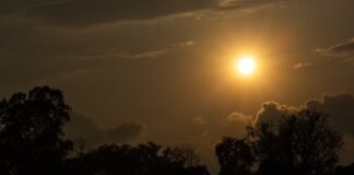 Ambiente de caluroso a muy caluroso en la mayor parte de México