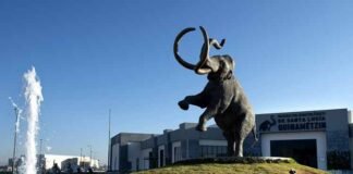 Museo Paleontológico de Santa Lucía Quinametzin, del AIFA único en su tipo