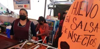 La excentricidad del taco en Plaza Independencia