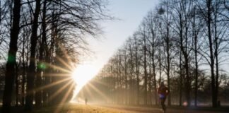 Ambiente muy caluroso con temperaturas hasta de 45 grados