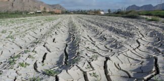 Predomina en Hidalgo sequía moderada