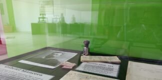 Últimos días para visitar la exposición ‘Pandemias’