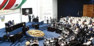 Funcionarios municipales de Ecología y Medio Ambiente deben contar con título profesional para ocupar cargo