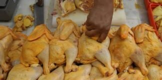 Detectan en Hidalgo venta ilegal de pollo y personas afectadas por consumirlo en mal estado