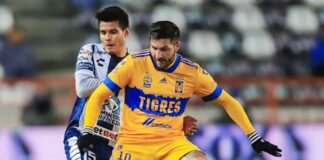 Pelearán el Pachuca y Tigres por el liderato, en el Hidalgo