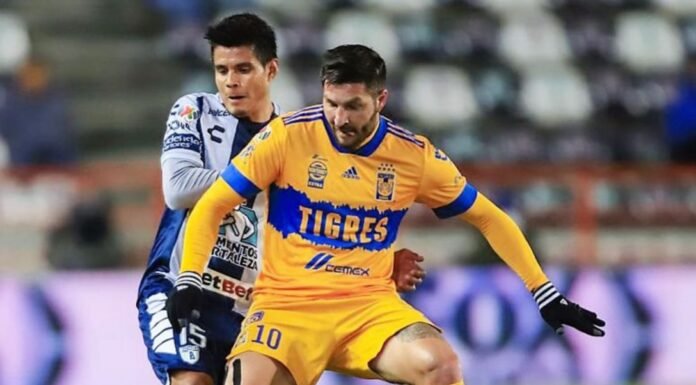Pelearán el Pachuca y Tigres por el liderato, en el Hidalgo