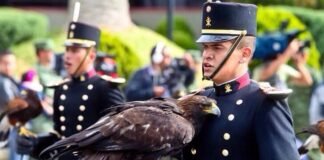 Representan a México cadetes del Colegio Militar, Senado lo aprueba